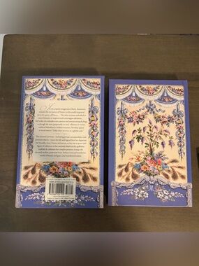 A Day with Marie Antoinette: An Intimate Portrait of Her Life at Versailles Book